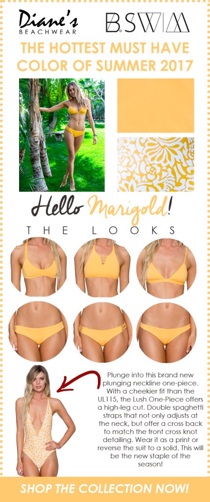 bfd3b597-bc93-4679-979d-5f52ce4ea050